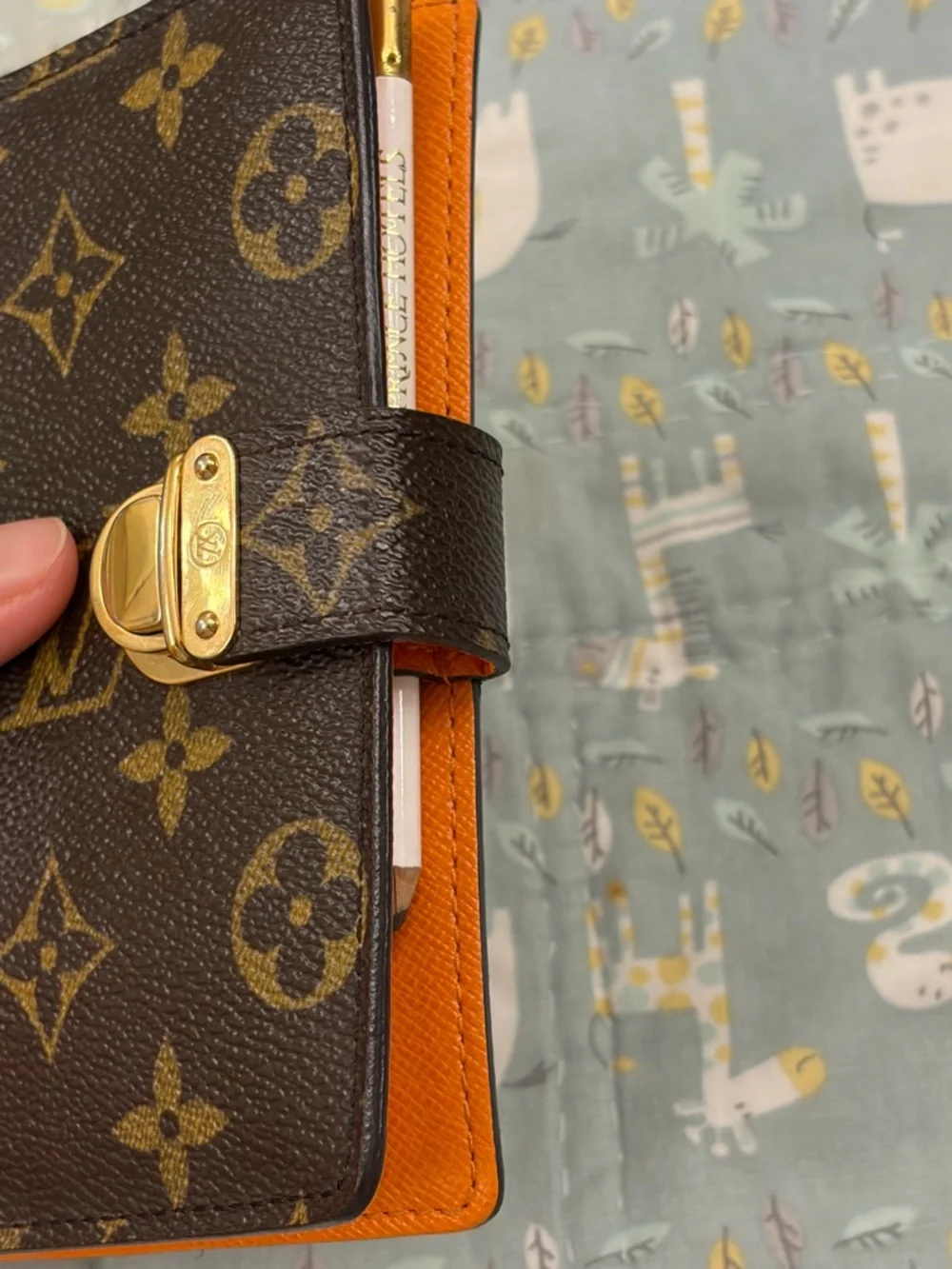 Louis Vuitton Agenda Pm (PRICE FIRM) - Picture 13 of 16